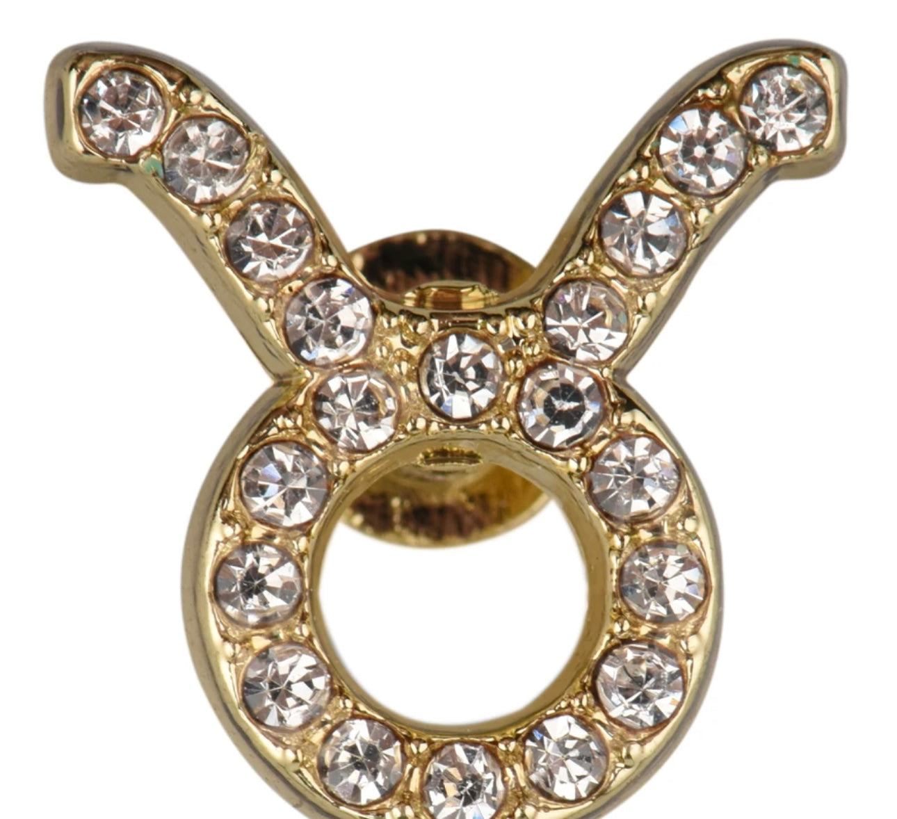 HOROSCOPE WATCH CHARMS