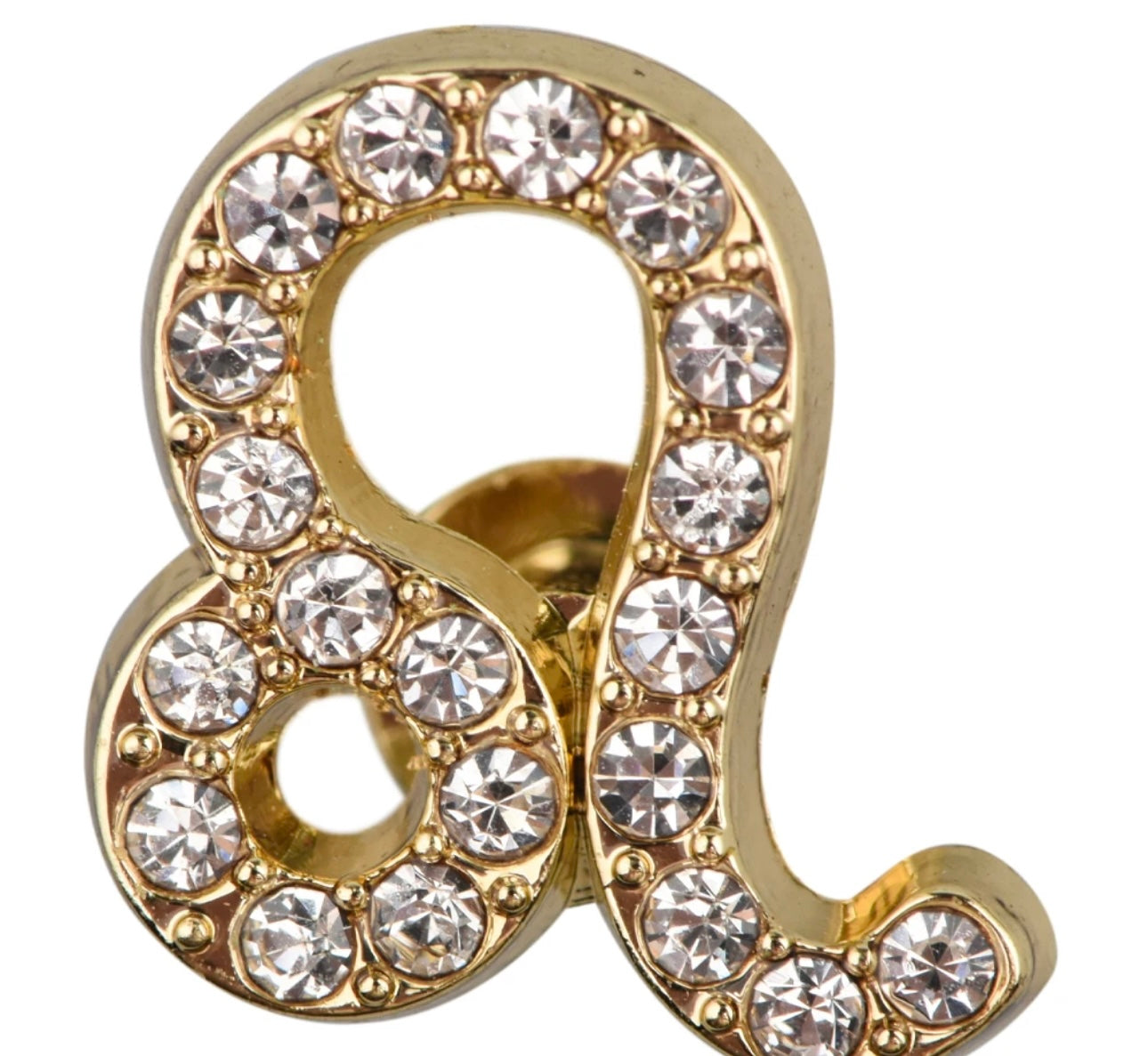 HOROSCOPE WATCH CHARMS