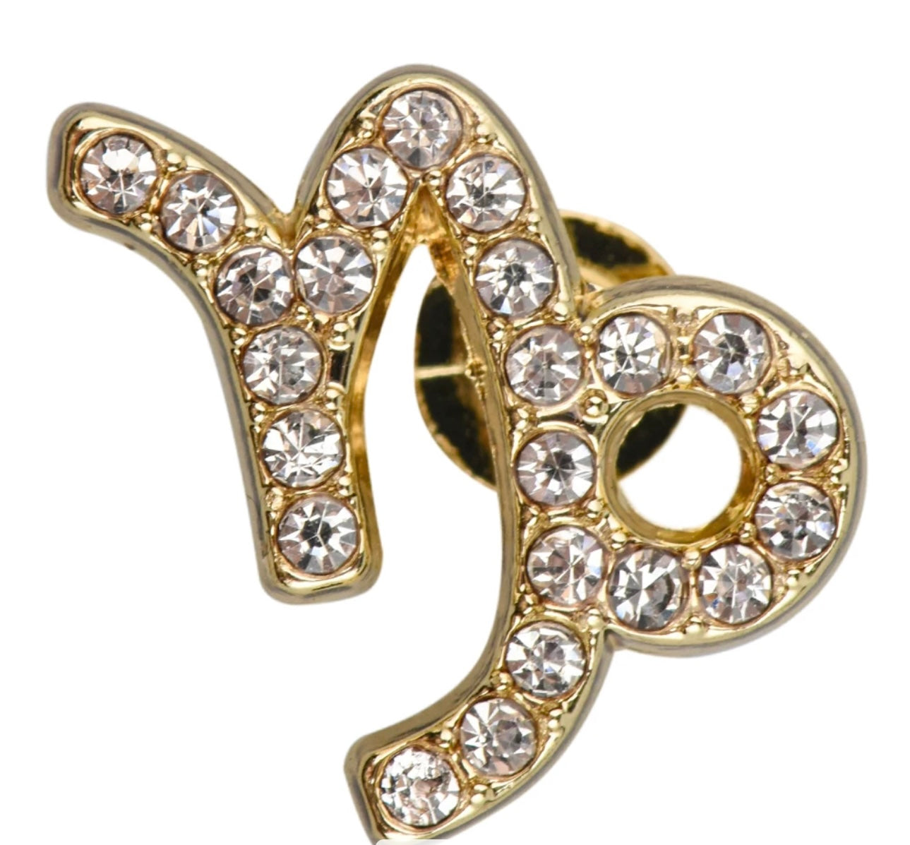 HOROSCOPE WATCH CHARMS