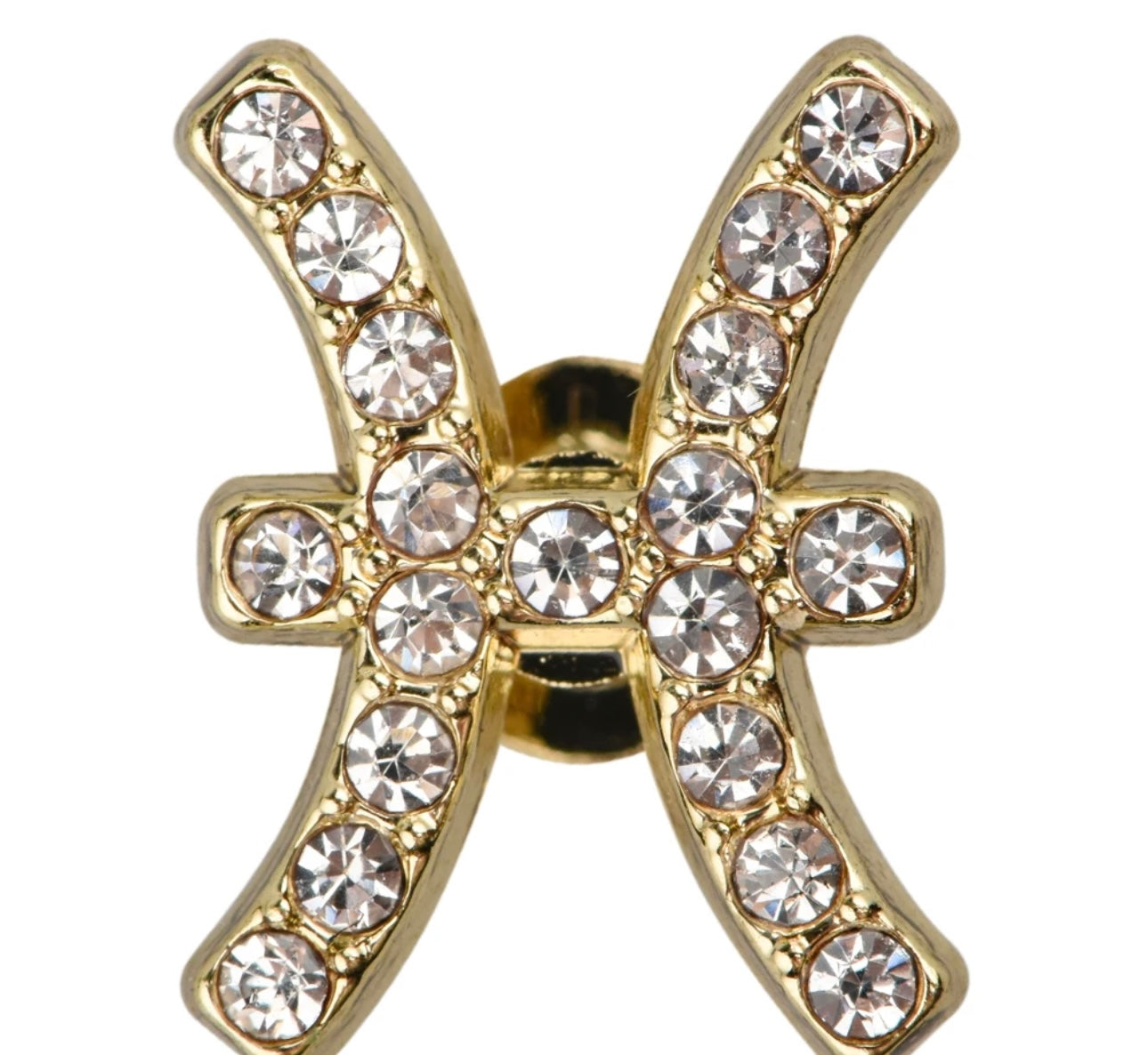 HOROSCOPE WATCH CHARMS