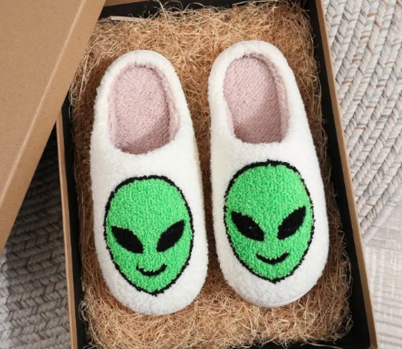 ALIEN SLIPPERS 👽