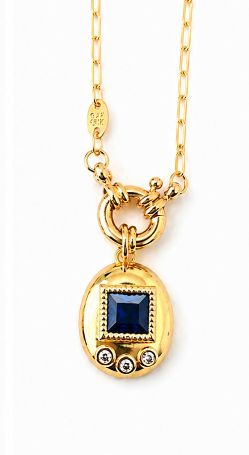 DIGITAL PET NECKLACE