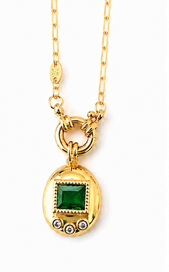 DIGITAL PET NECKLACE