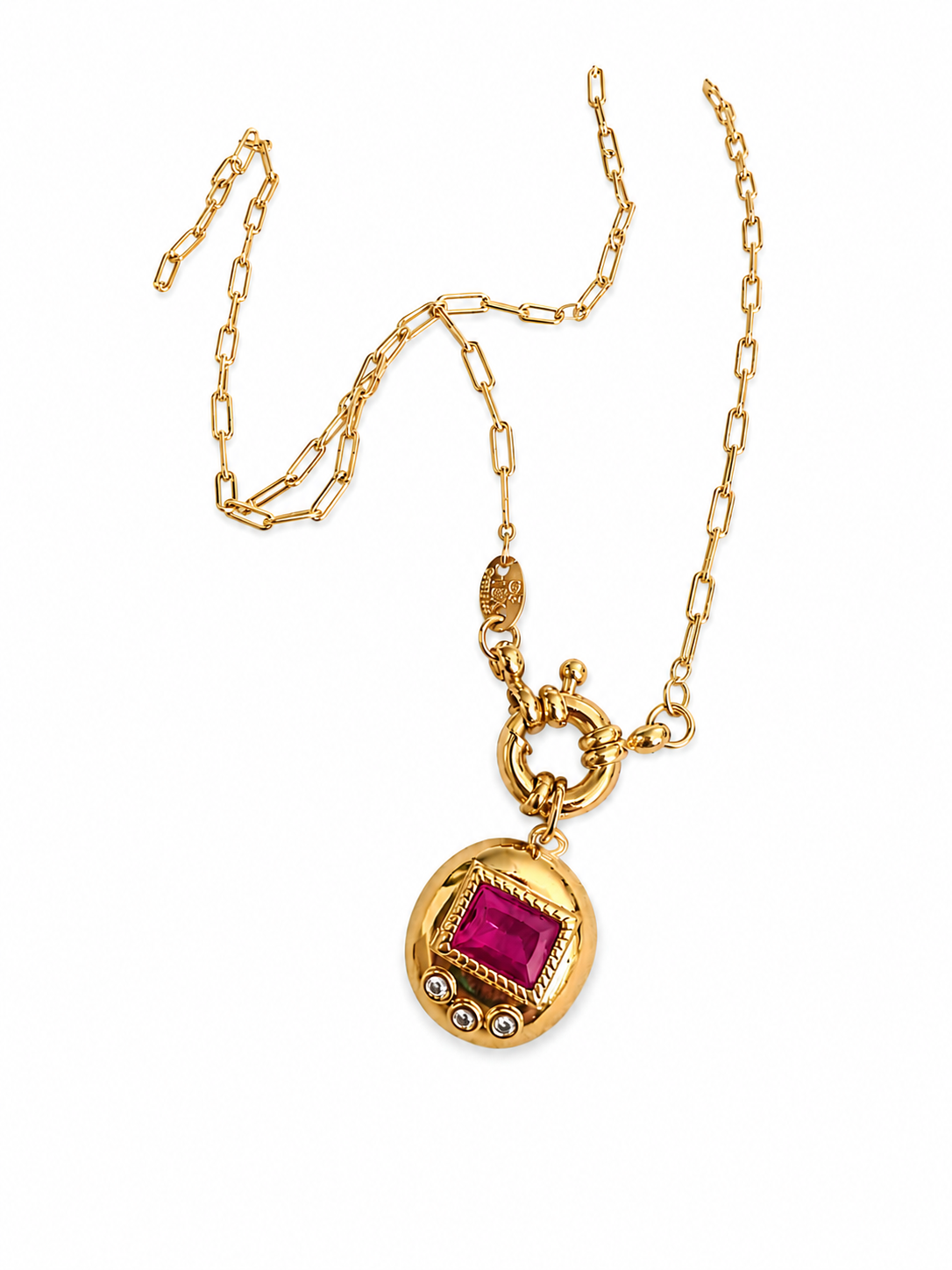 DIGITAL PET NECKLACE